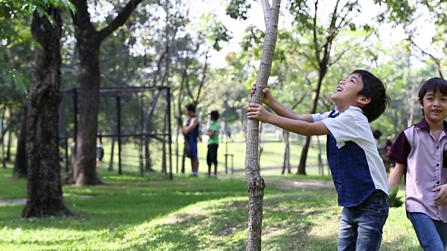 小男孩摇一摇小树上的气球视频下载