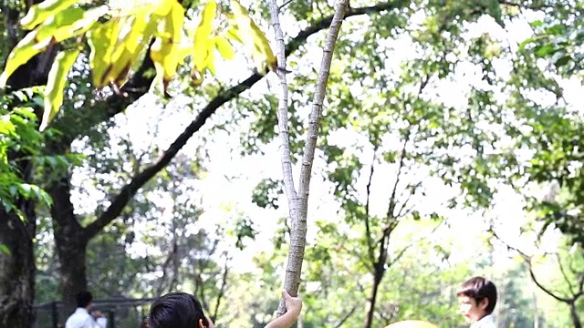 亚洲小男孩在爬树视频下载