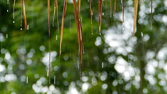 用高速相机拍摄大雨视频素材