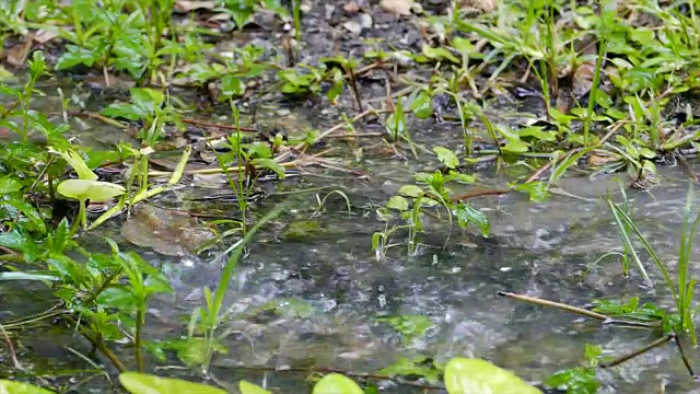 用高速相机拍摄大雨视频素材