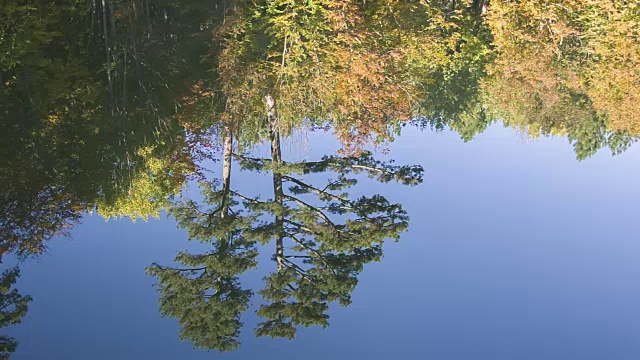 湖面上倒映着秋树和蓝天视频素材