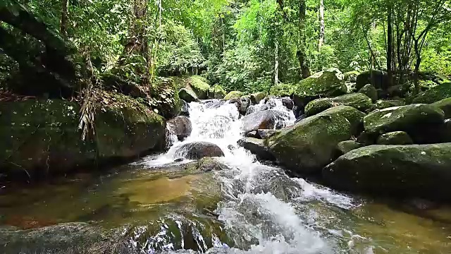 绿林溪流视频下载