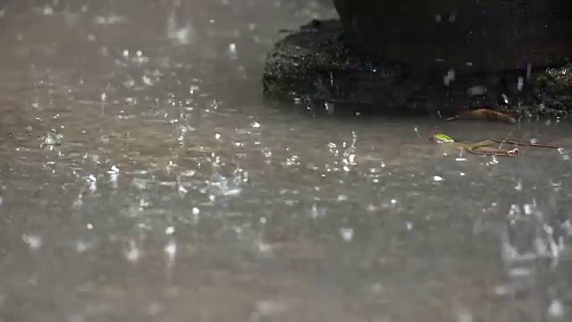 人行道上有大雨视频下载