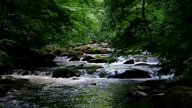 波德河视频素材