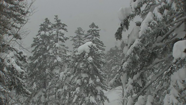 北海道大雪山火山群的冬季视频素材