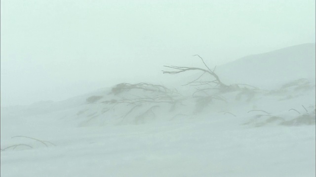 北海道大雪山火山群冬季降雪视频素材