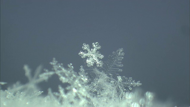 北海道大雪山火山群冬天的雪花视频素材