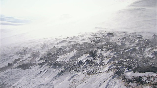 北海道大雪山火山群冬季降雪视频素材