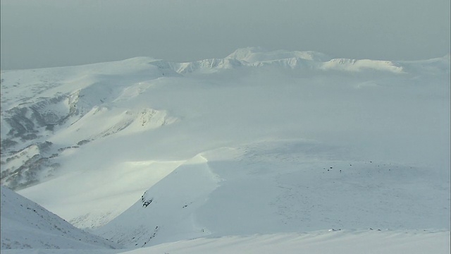 北海道大雪山火山群冬季降雪视频素材