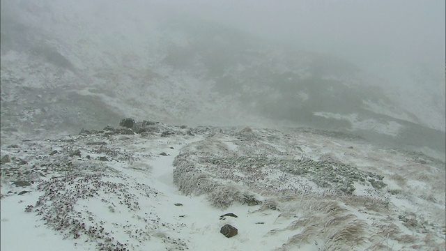 北海道大紫山火山群冬季暴风雪视频素材