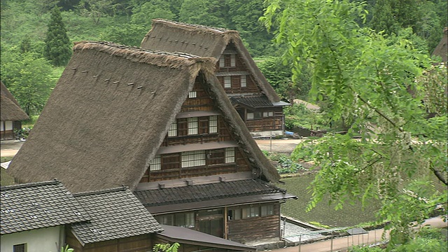 陡峭的茅草屋顶占据了日本白川古村和戈山古村。视频素材