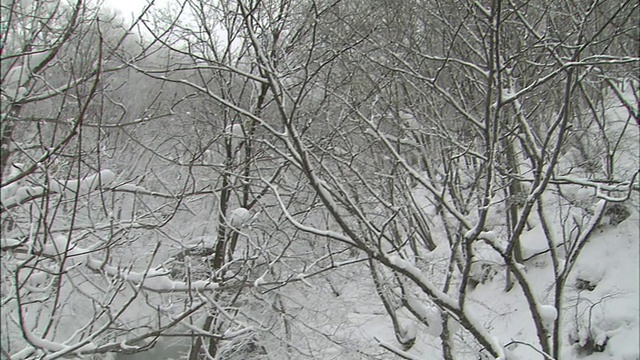 雪中温泉视频素材