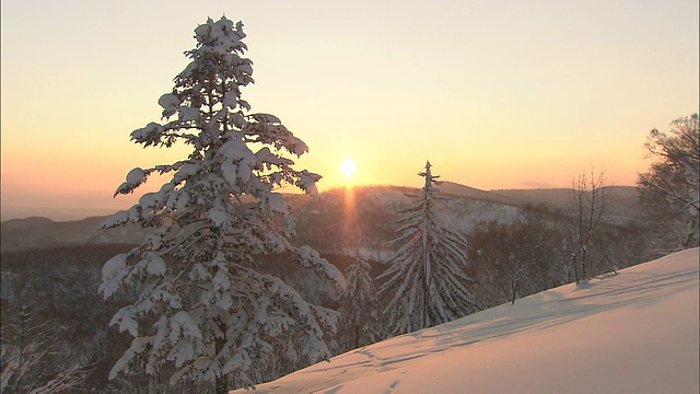 日本冬天，太阳照在春香山上视频素材