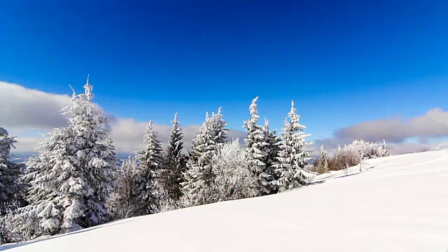 冬季景观与高云杉和雪山视频素材