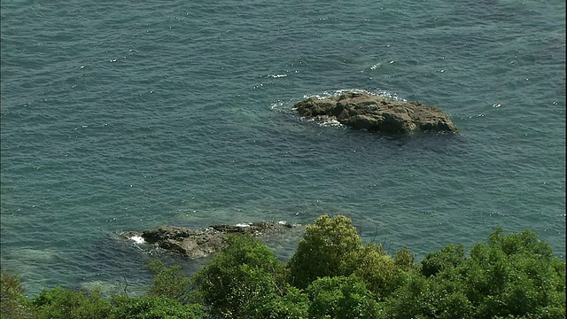 海浪到达海岸的岩石和树木。视频素材