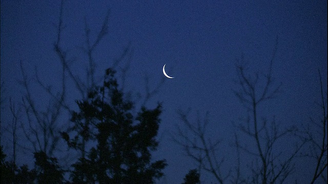 在日本，一弯纤细的新月在黑暗的夜空中闪耀。视频素材