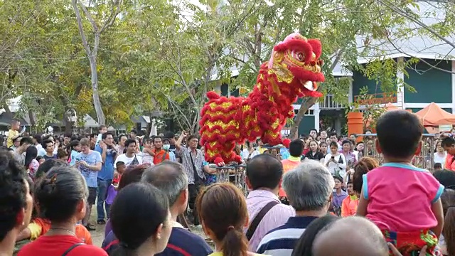 舞狮视频素材