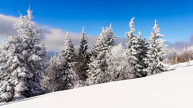 冬季景观与高云杉和雪山视频素材