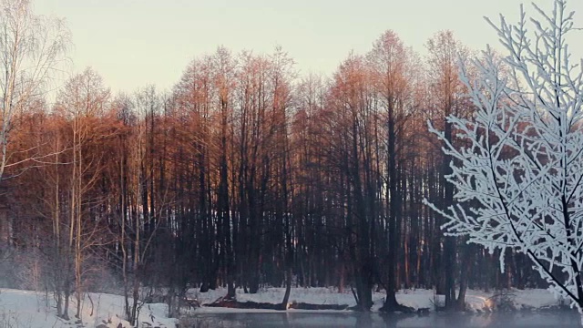 冬天森林里有雾的早晨。森林里的树木被雪覆盖着。雾在河视频素材