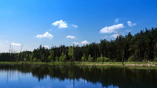 波兰的风景视频素材