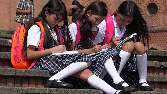 小学生正在学习视频素材