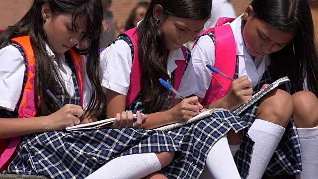 正在学习的学生视频素材