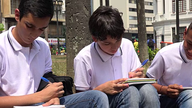 青少年男学生正在学习视频素材