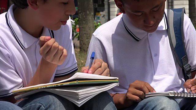 青少年男学生正在学习视频素材