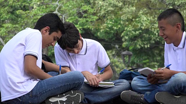 青少年学生学习和写作视频素材