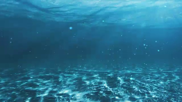 水下的场景。看看我的其他海景和水下动画视频素材画面1
