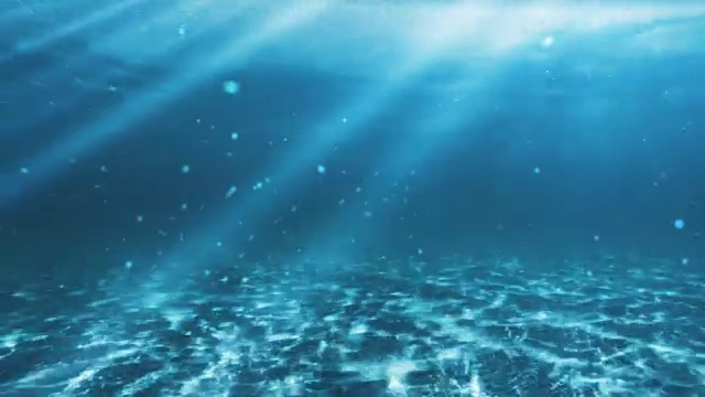 水下的场景。看看我的其他海景和水下动画视频素材画面2