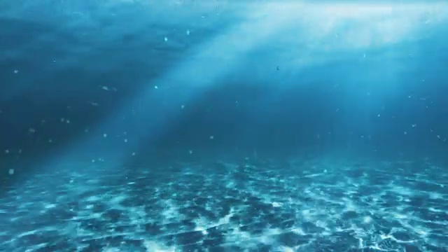 水下的场景。看看我的其他海景和水下动画视频素材画面4