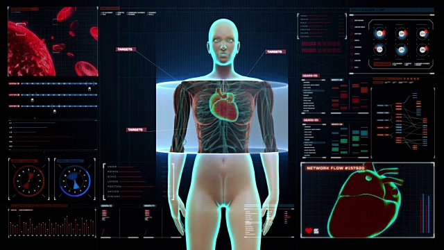 女性身体扫描心脏。数字显示人体心血管系统。视频素材