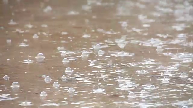 大雨使泡泡在水坑里视频素材