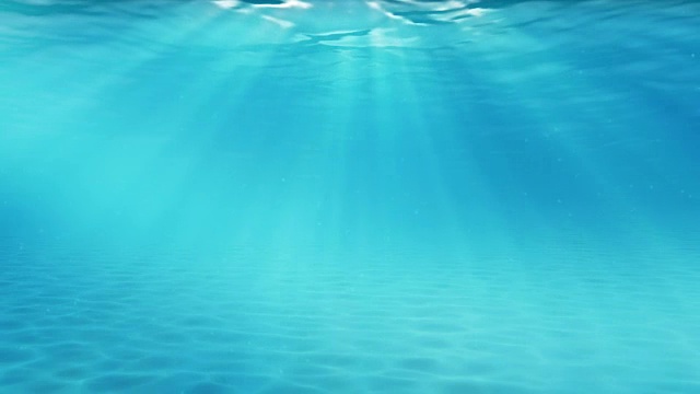 水下sceen。看看我的其他水下和海景动画视频素材画面1