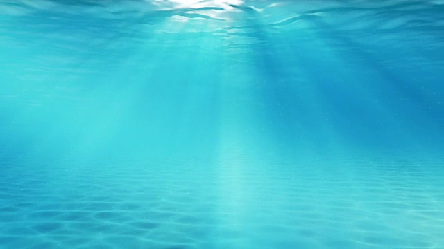 水下sceen。看看我的其他水下和海景动画视频素材画面2