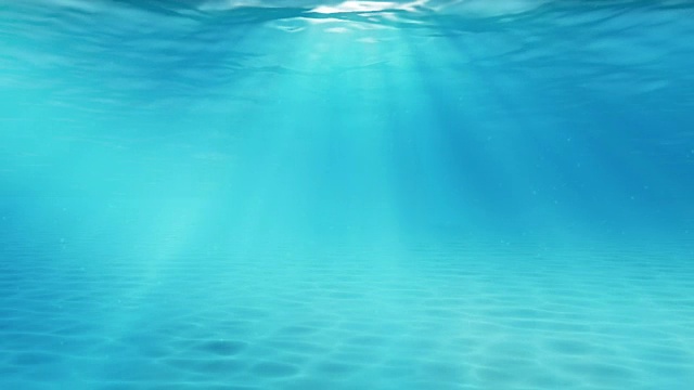 水下sceen。看看我的其他水下和海景动画视频素材画面3