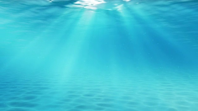 水下sceen。看看我的其他水下和海景动画视频素材画面4