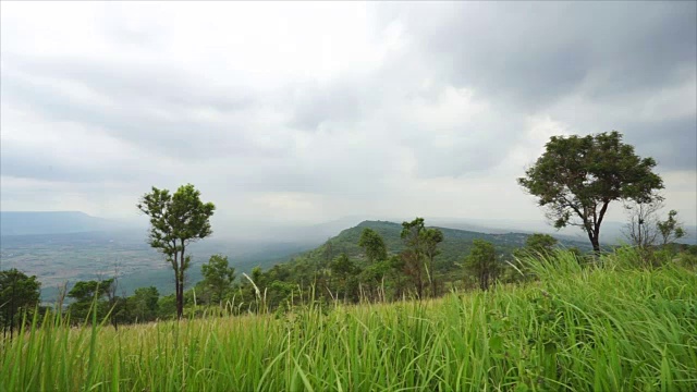 模糊的草与绿色的田野和山的背景视频素材