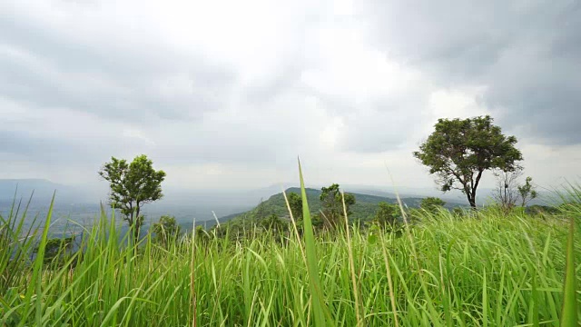 模糊的草与绿色的田野和山的背景视频素材