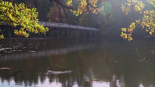 神奇的秋天的天气视频素材