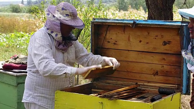 两个养蜂人在工作。轻轻地在果园里熏制蜜蜂视频素材