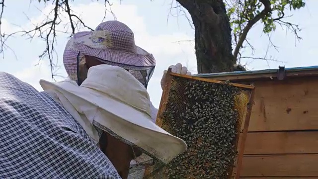 两个养蜂人在工作。夏天FullHD视频素材