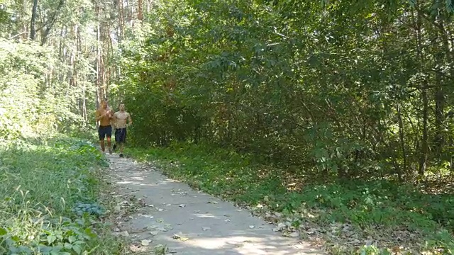 两个肌肉发达的年轻运动员在森林小路上奔跑。活跃的强壮的男子在户外训练。健美英俊的男性运动员的工作。朋友训练和锻炼。健康的生活方式视频素材