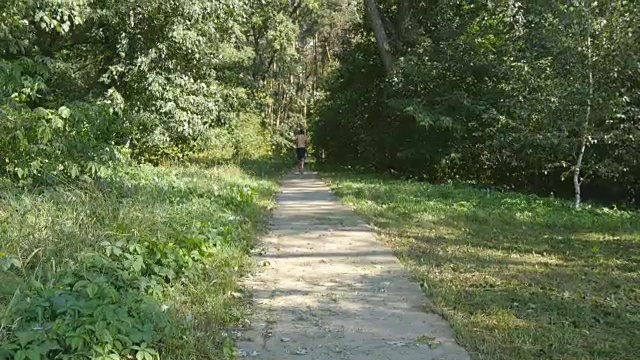 年轻肌肉发达的运动员在森林小路上奔跑。活跃的强壮男子户外训练。健美英俊的男运动员锻炼。训练和锻炼的家伙。健康的生活方式。后方后视图视频素材