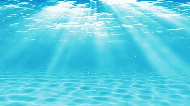 水下sceen。看看我的其他水下和海景动画视频素材画面2