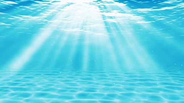 水下sceen。看看我的其他水下和海景动画视频素材画面3