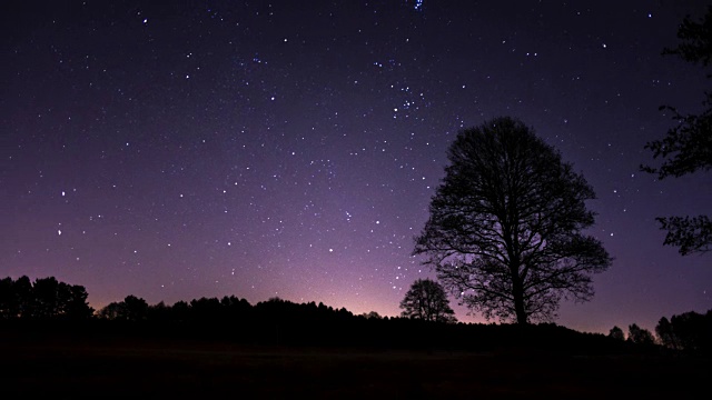 夜晚，森林空地上飞舞的星星和雾气视频素材