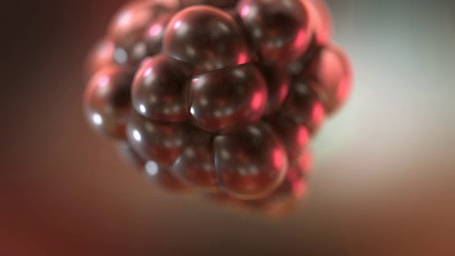 癌症细胞分裂视频素材画面4