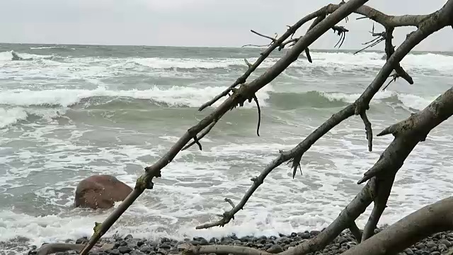 波罗的海沿岸的阿科纳角海滩景观。白垩崖和黑刺李丛。(德国梅克伦堡- vorpommern)鲁根岛。视频素材